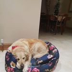 Carol Hadden - @carol.hadden.14 - Instagram