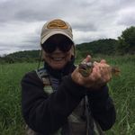 Carol Hafeman - @cahafeman49 - Instagram