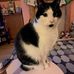 Carol Haggerty - Facebook