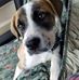 Carol Haggerty - Facebook