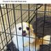 Carol Haigh - Facebook