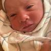 Carol Haigler Gardner - @carol.haigler.gar - TikTok