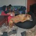 Carol Halbert - Facebook