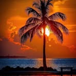 Carol Kahlig Hale - Facebook