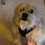 Carol Haley - @mchaley75 - Instagram