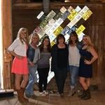 Carol Haley - @carol.haley - Instagram