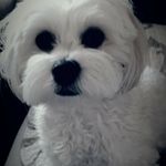Carol Haley - @carol.haley.9843 - Instagram