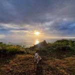 Carol Haley - @njgirl30 - Instagram