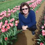 Carol Giovanniello Haller - @carol_haller - Instagram