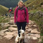 Carol halliday - @dogwalknorthampton - Instagram