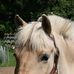 Carol Burgess Halstead - Facebook
