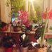 Carole Halstead - Facebook