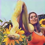 Caroline Hamasaki - @carol_hamasaki - Instagram