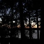 Carol Hamer - @chamer1 - Instagram