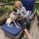 Carol Hamer Calvert - @oilsnwhippets - Instagram