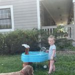 Carol Hamer Willoughby - @carolhamerwilloughby - Instagram