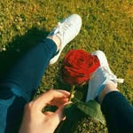 Carol J Hamlin - @jhamlincarol - Instagram