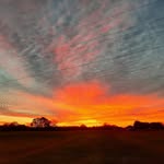 Carol Hammett - @carol.hammett.54 - Instagram