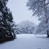 carolhamm7 - @carolhamm7 - TikTok