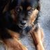 Carol Hammack - Facebook