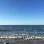Carol Hammer - @carolzhammer - Instagram