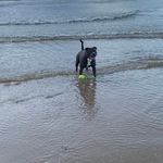 Carol Jayne - @carolhammersley2023 - Instagram