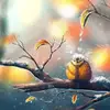 Carol Hammon - @carolhammon - TikTok