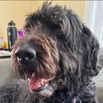Carol Hammon - @carolhammon - Instagram