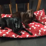 Carol Hammond - @carol.hammond20 - Instagram