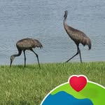 Carol Hammond Kremer - @carolhammondkremer - Instagram