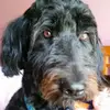 carolhammon172 - @carolhammon172 - TikTok