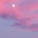 Carol Hamrick - Facebook