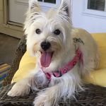 Carol Hamrick - @carolshamrick - Instagram