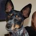 Carol Harley - Facebook