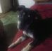 Carol Harvvey - Facebook