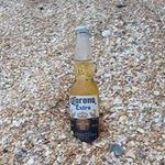 Carol Harrell - @carol.harrell.1238 - Instagram
