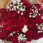 Carol Moring Harrell - @frnnkcarol - Instagram