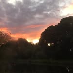 Carol Hazard - @carol.hazard.3 - Instagram
