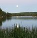 Carol Heim - Facebook