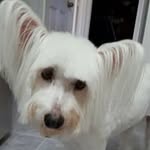 Carol Hein - @carol.hein.946 - Instagram