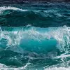 carolhein - @carol.hein - TikTok