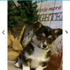 carolherbst2 - @carolherbst2 - TikTok
