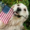 Caroline Herbst - @caroline.herbst - TikTok