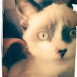 Carol Hermes - @hermes.carol - Instagram
