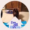 Carol Heuser - @carolheuser43 - TikTok