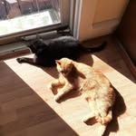 Carol Hirsch - @carol.hirsch.773 - Instagram
