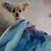 Carol Hirschauer - Facebook