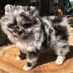 Carol Hooks - @hooks7741 - Instagram