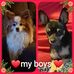 Carol Hooper - Facebook