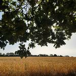 Carol Hooper - @carol.hooper.96 - Instagram